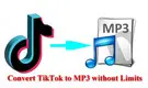 Convert TikTok to MP3