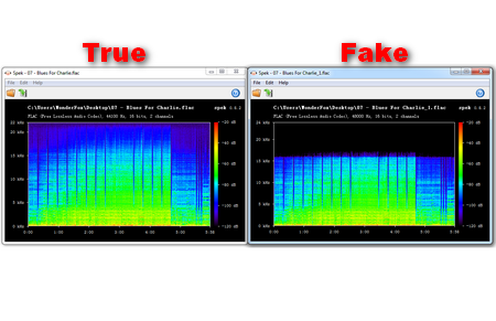 FLAC spectrum analyzer 