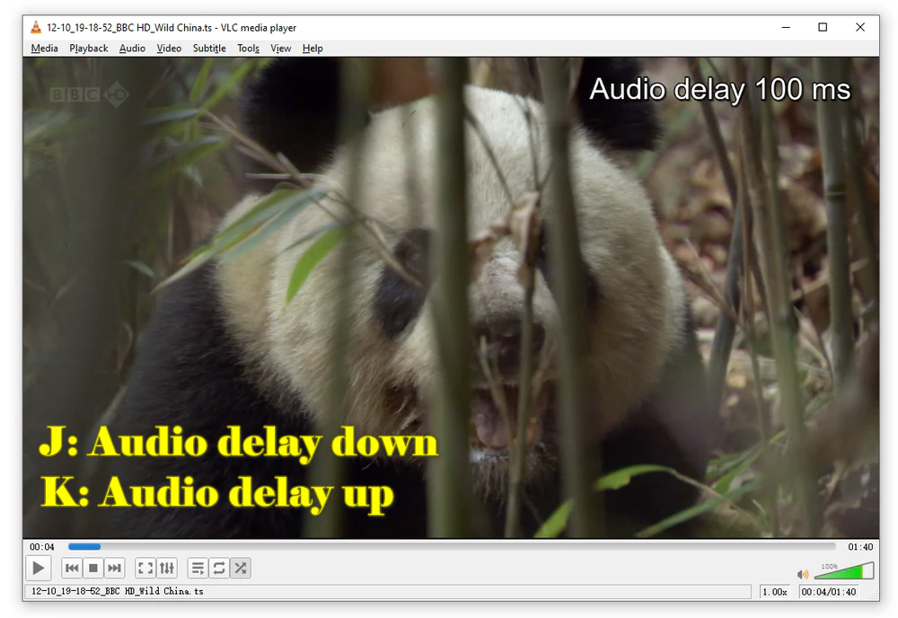 Fix Audio Sync Problem in VLC