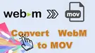 WebM to MOV