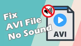 AVI File No Sound