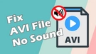 AVI File No Sound