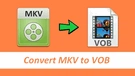 Convert MKV to VOB
