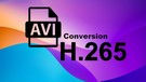 Convert AVI to H.265