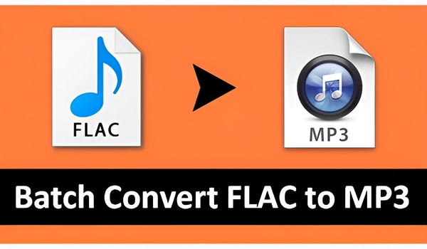 Bulk FLAC to MP3 converter