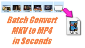 Batch Convert MKV to MP4