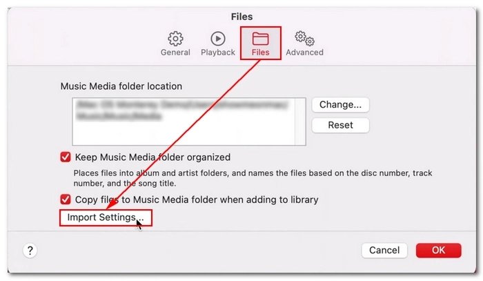 Open Import Settings