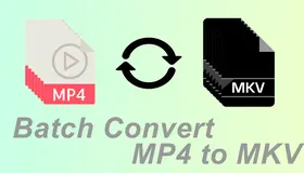 Batch Convert MP4 to MKV