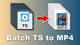 Batch Convert TS to MP4