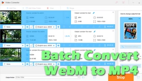 Batch Convert WebM to MP4