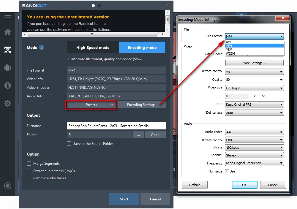 Select MP4 as Output Format