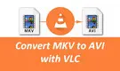 Convert MKV to AVI with VLC