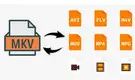 Best Free MKV Converter