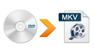 Best DVD to MKV Converter