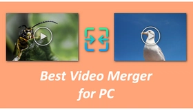 Video Merger for PC