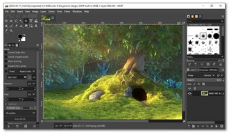 How to create Animated GIF from a video file using VLC and GIMP