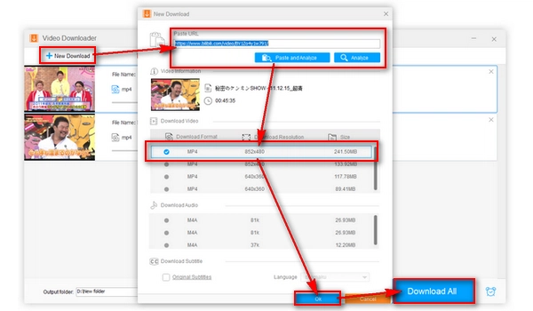 Bilibili to MP4 Downloader Free