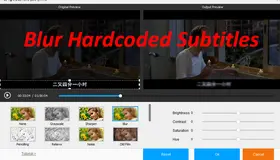Blur Hardcoded Subtitles