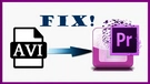Fix Premiere Pro AVI Issue