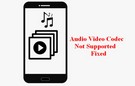 Audio and Video Codec Not Supported