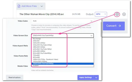 Change Video Resolution Online