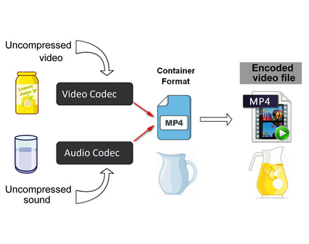 Graphic Explanation of Video Codec & Container