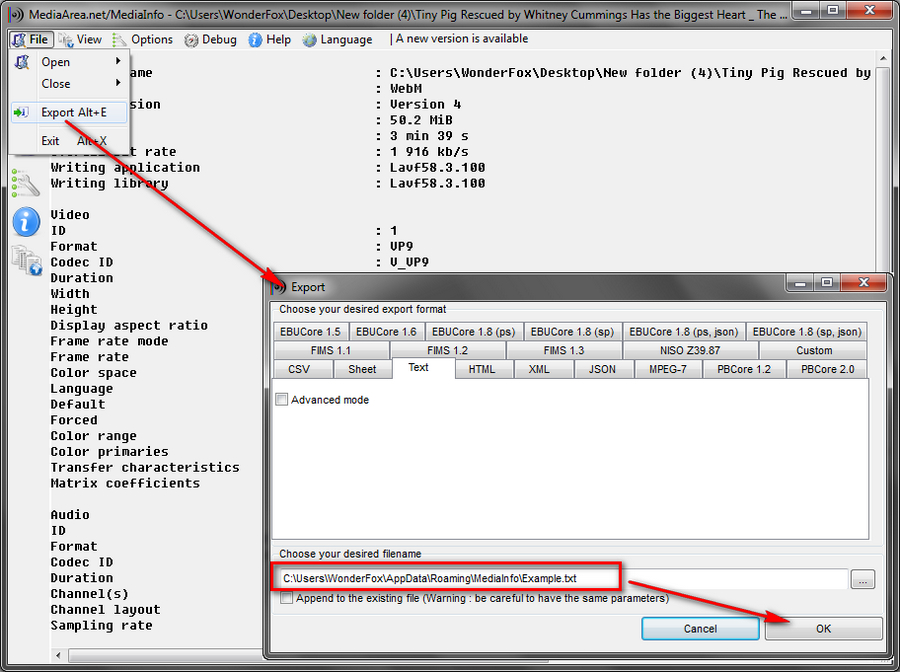 Export Video Information