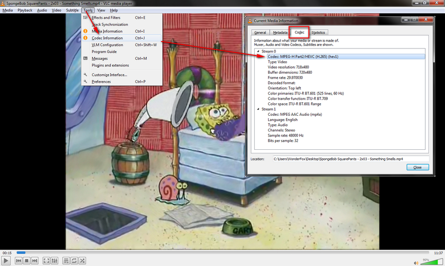 Identify Video Codec in VLC