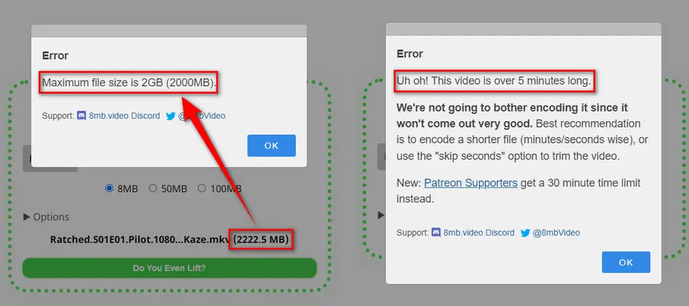 Drawbacks of the Video Compressor to 8MB