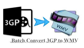 Convert 3GP to WMV
