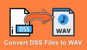 Convert DSS to WAV