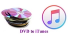 Import DVD to iTunes