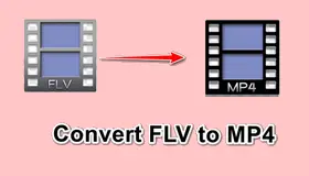 Convert FLV to MP4