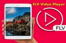 FLV Video Editor