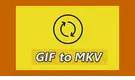 GIF to MKV