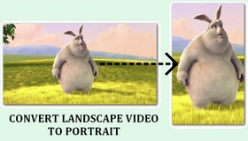 Convert Landscape Video to Portrait