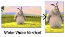 Convert Horizontal Video to Vertical