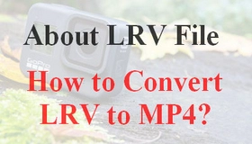 LRV to MP4
