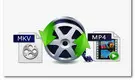 Convert MKV to MP4 Video Format