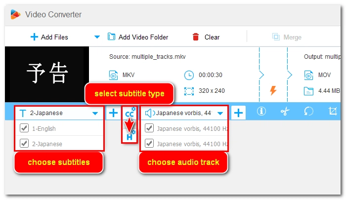 Manage Subtitle and Audio Tracks