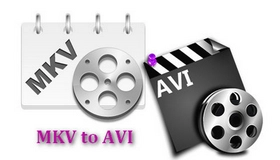 MKV to AVI