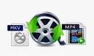 Convert MKV to MP4