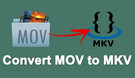 Convert MOV to MKV