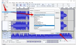 MP3 to WMA File Converter VLC