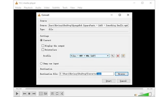 How to Convert MP4 to WMV Using VLC