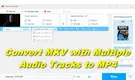 Convert MKV to MP4 with Multiple Audio Tracks