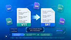 Convert Subtitle Formats