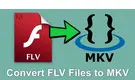 FLV to MKV