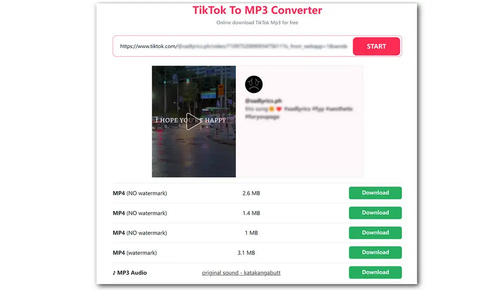 TikTok Video Link to MP3 Converter Online