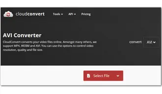 Convert AVI Files with CloudConvert